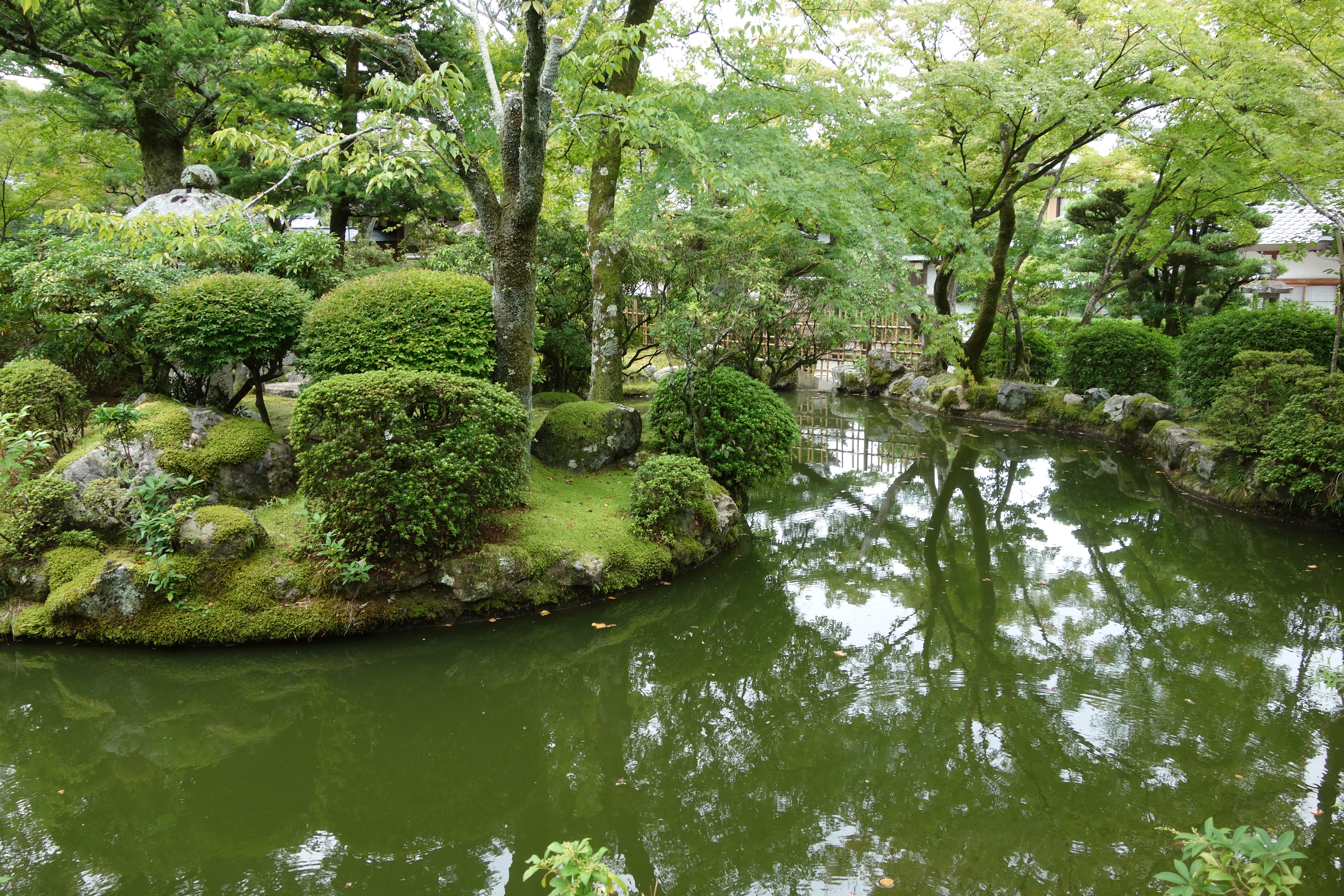 kiyomizu